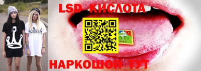 Альфа ПВП Можга