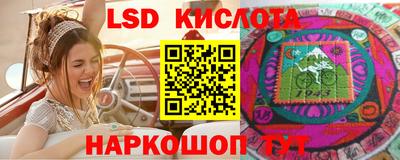 Альфа ПВП Можга