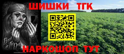 Альфа ПВП Можга