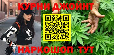 Альфа ПВП Можга
