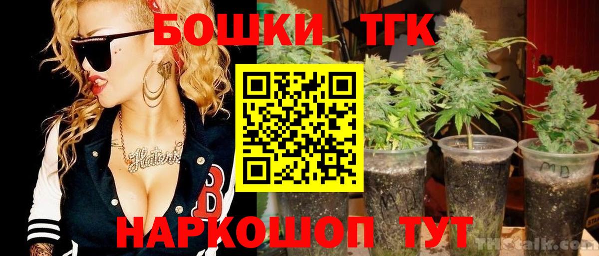 Бошки Шишки планчик Сунжа